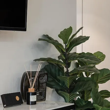 Casa Boma - Brighting With Spacious Terrace - Alvalade Iii *