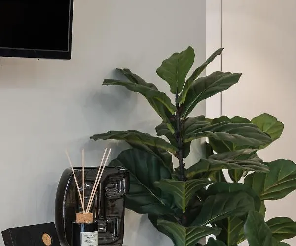 Casa Boma - Brighting With Spacious Terrace - Alvalade Iii *